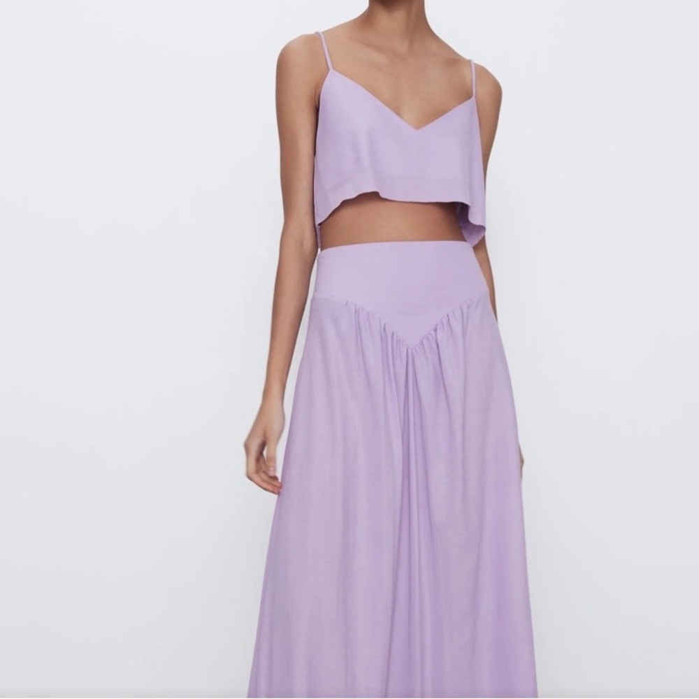 Zara Maxi Skirt